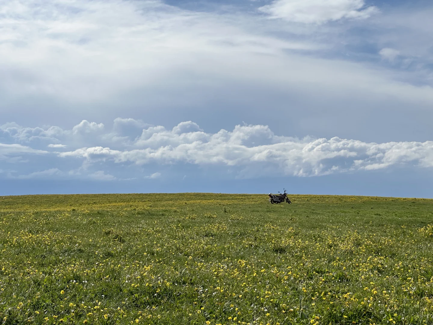 六月初 新疆自驾旅游记录⛰️攻略+花费