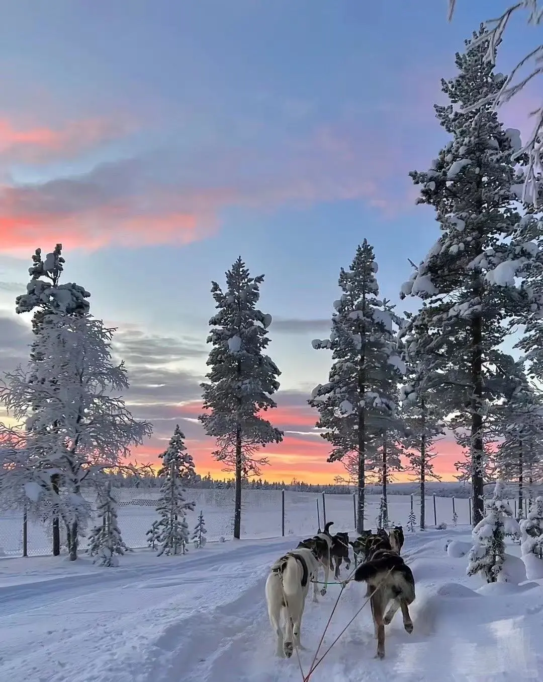 零下30度的哈尔滨，真的不是北欧！