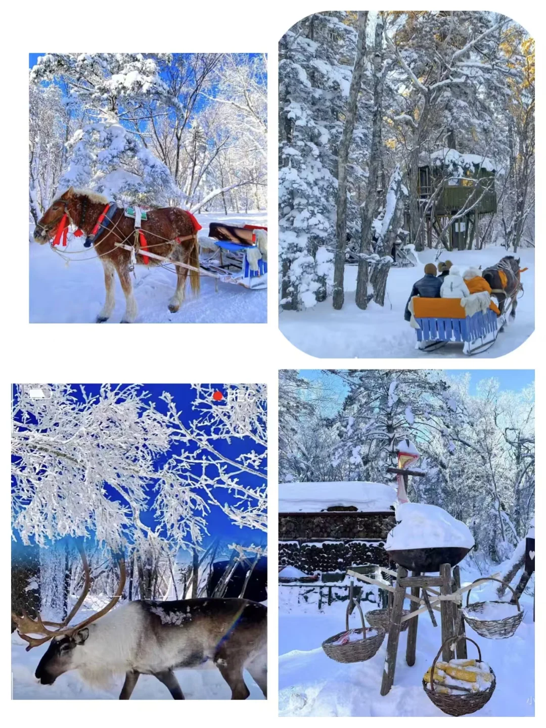 长白山拼车包车 延吉老里克湖雪岭包车攻略