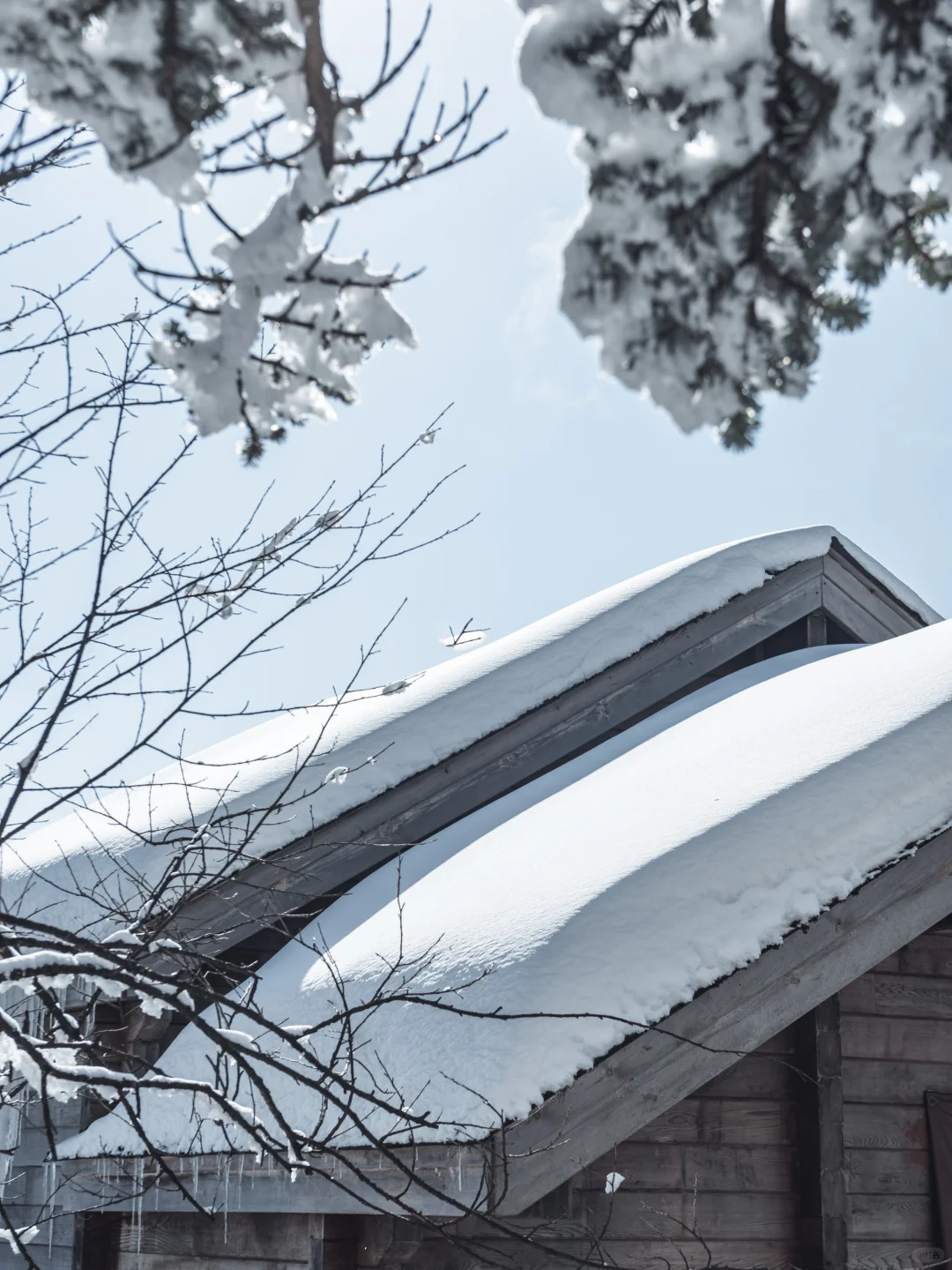 淡季的西岭雪山真的是人间理想！最全攻略