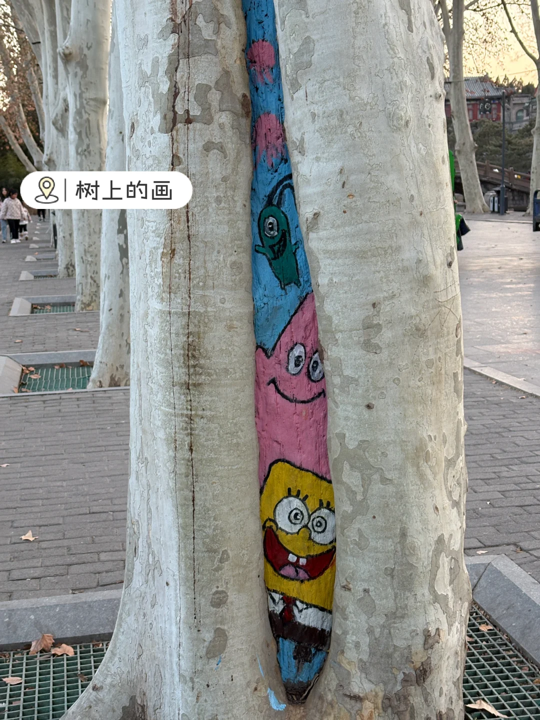 年过完了，邯郸本地人终于挤进邯郸道啦