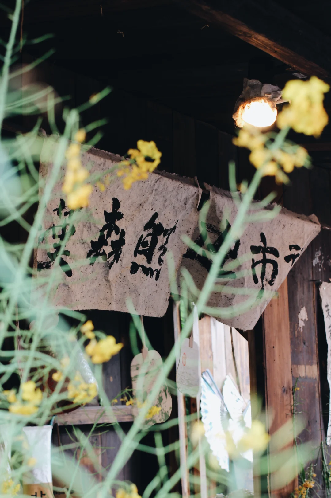 🌸两天三夜·烟花三月下扬州保姆级攻略🌿