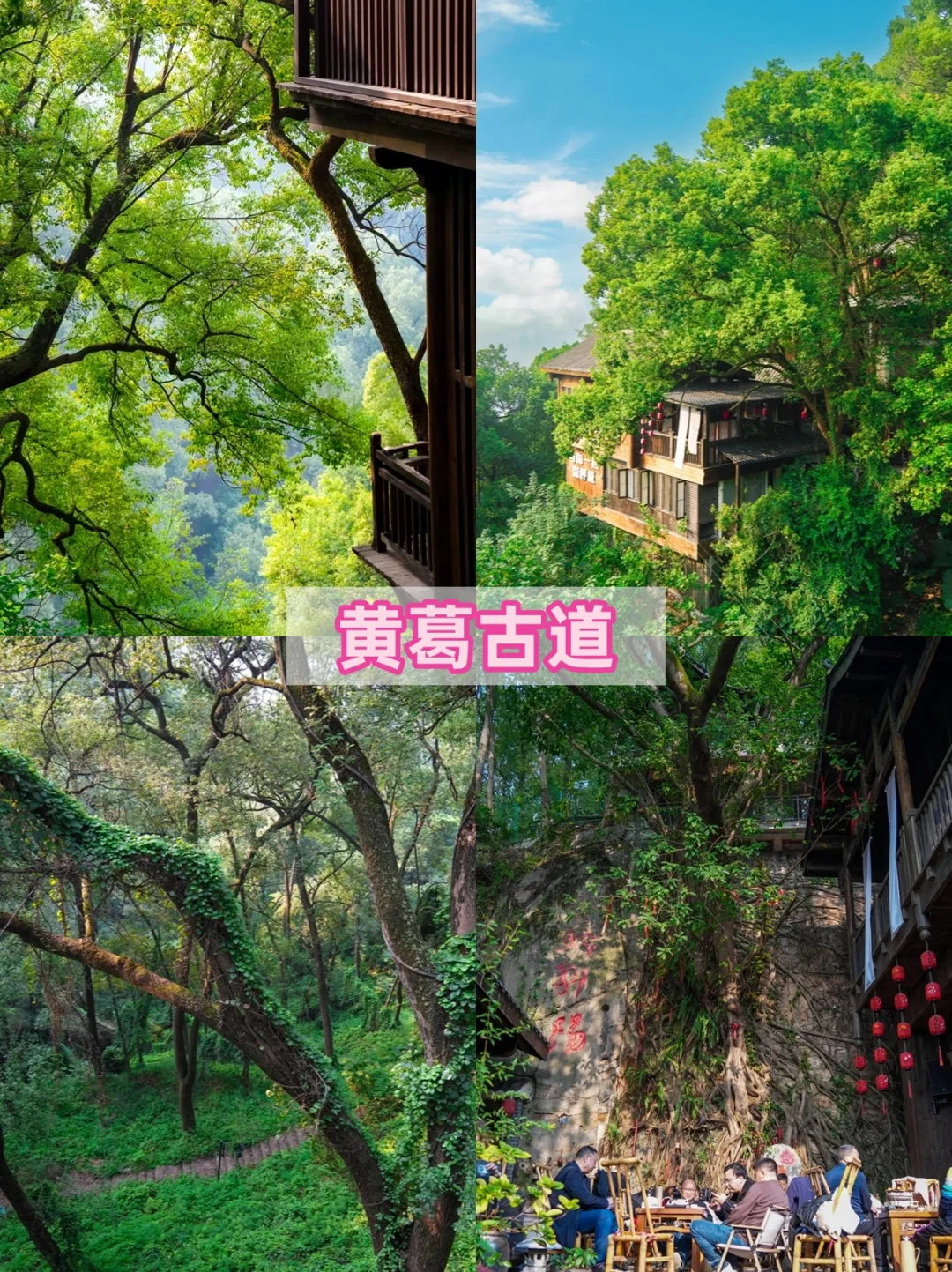 重庆不止洪崖洞：逛完这10个景点再离开重庆