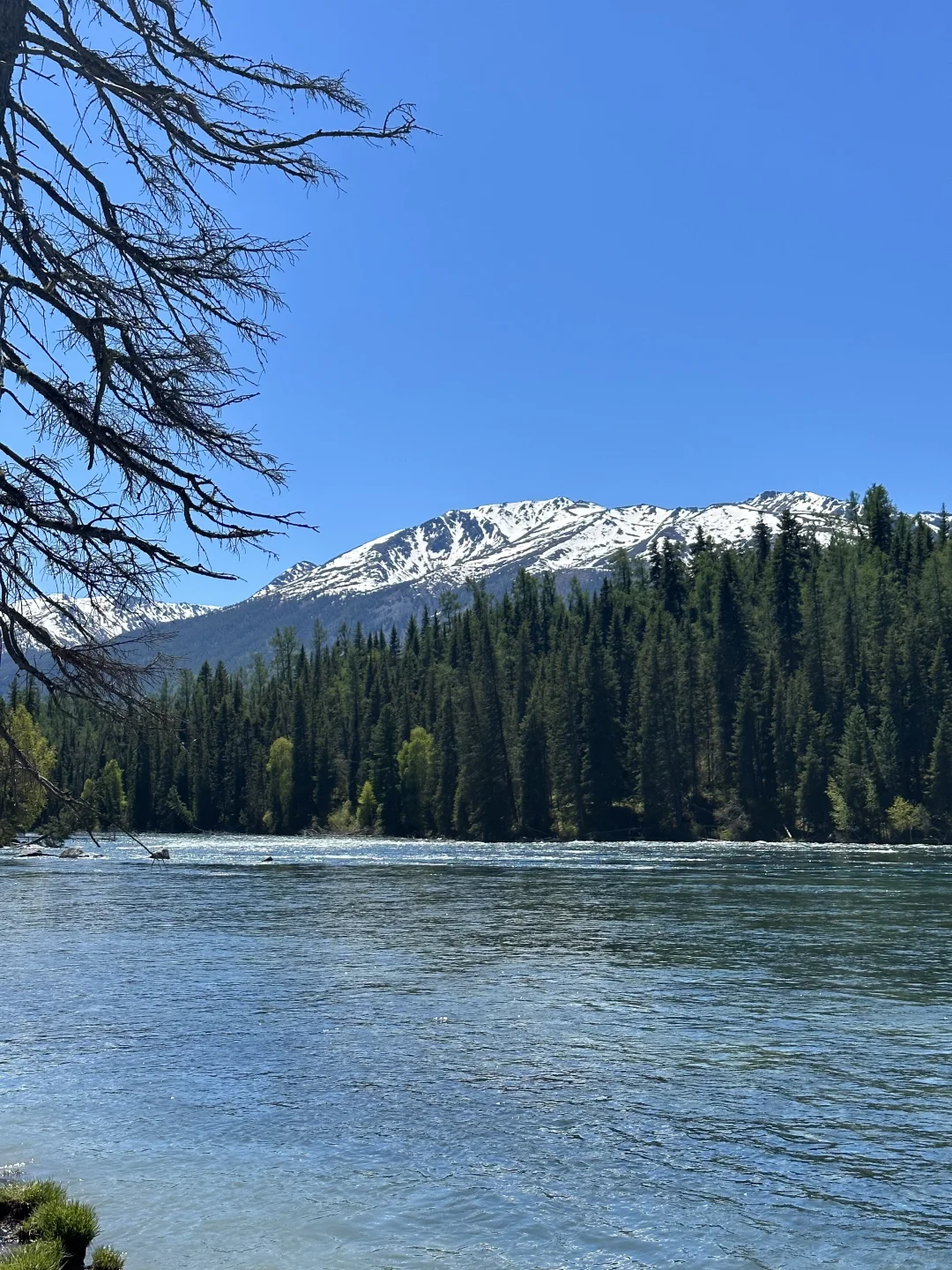 六月初 新疆自驾旅游记录⛰️攻略+花费