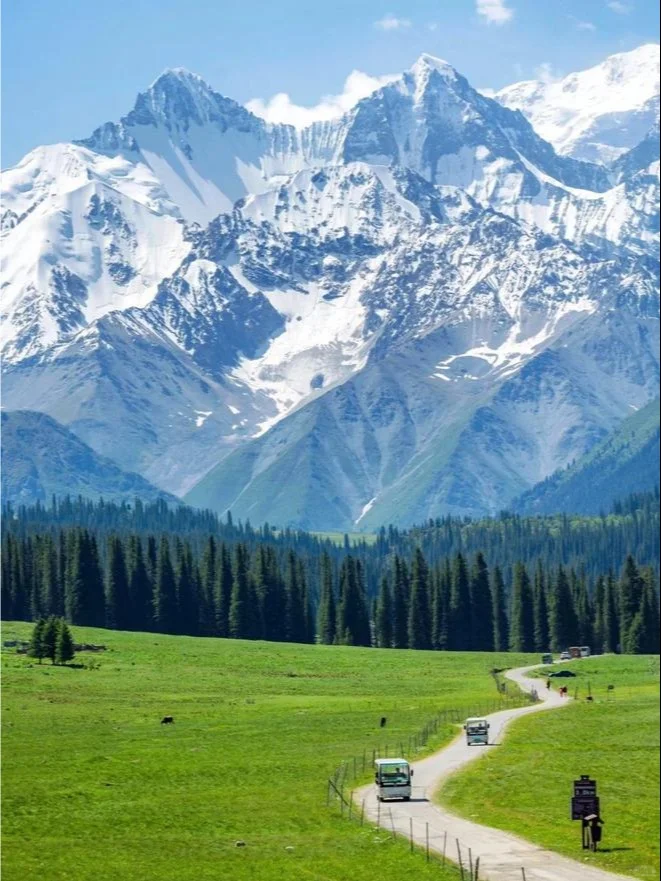 疆跟团已回！这3种团千万别报