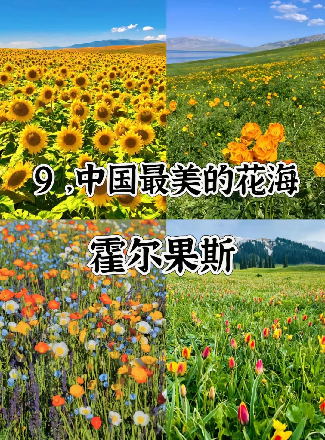 中国最美的20个地方值得此生一去