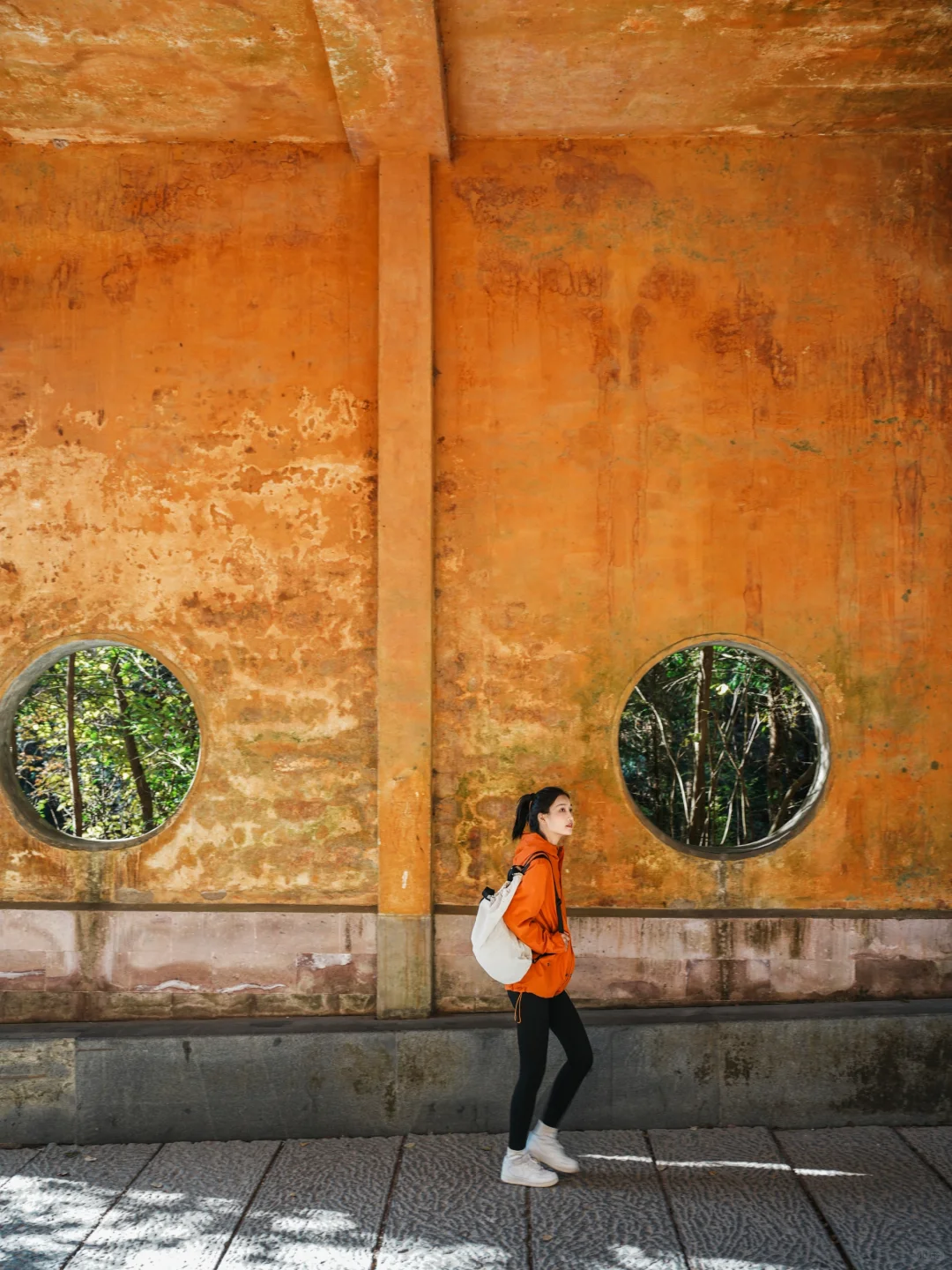 2.18实拍❗️国清寺的隋梅已经开啦