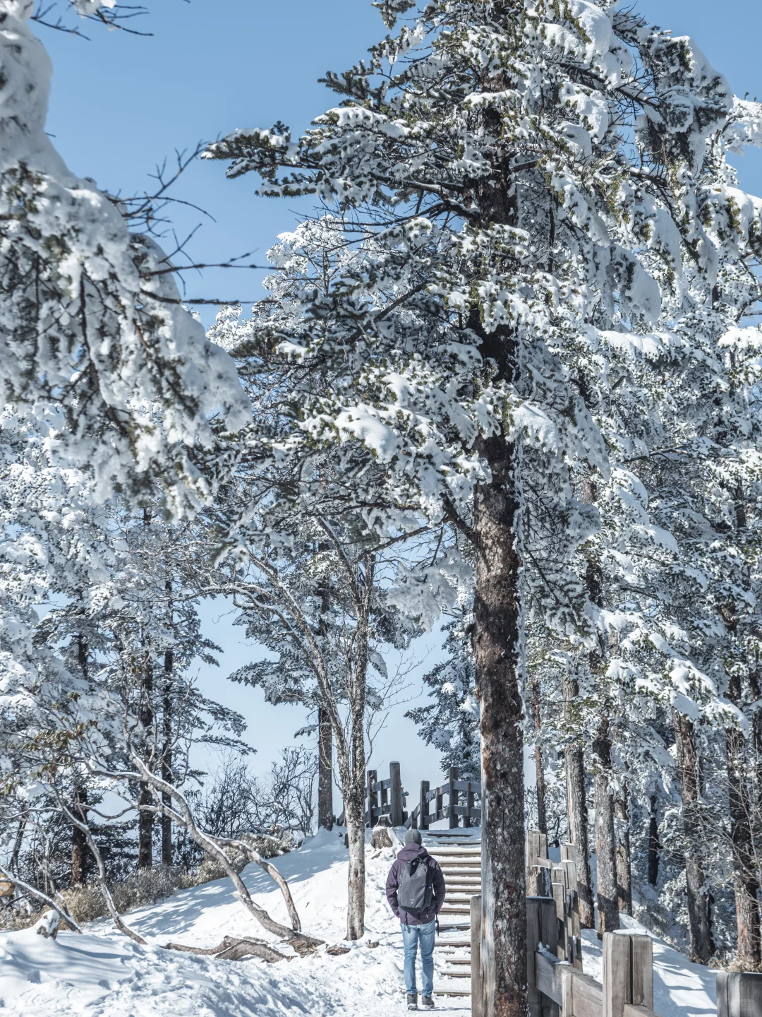 淡季的西岭雪山真的是人间理想！最全攻略