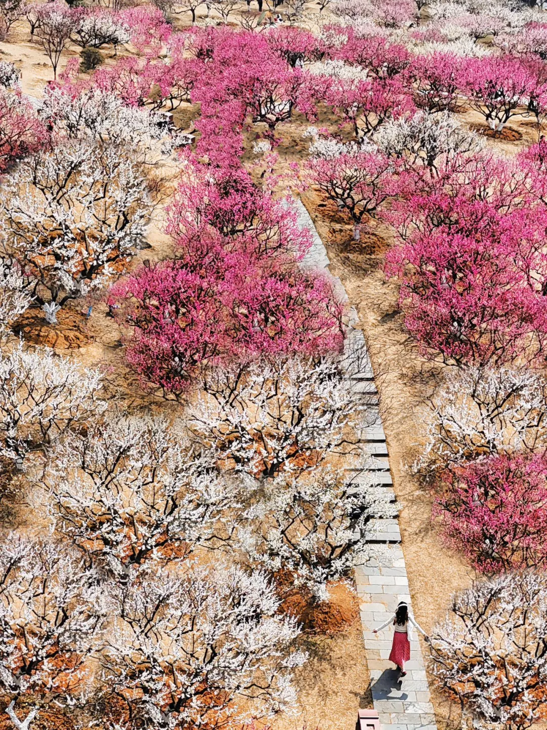 果真❗️大家对东湖的开发只有10%（附⭕攻略