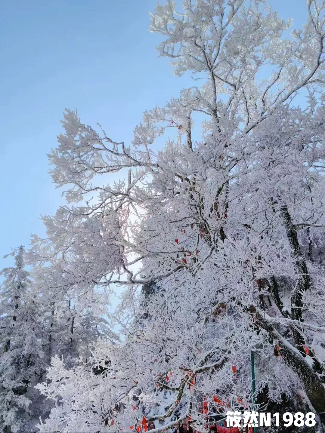 老君山旅游避雷全攻略｜1日游2日游攻略推荐