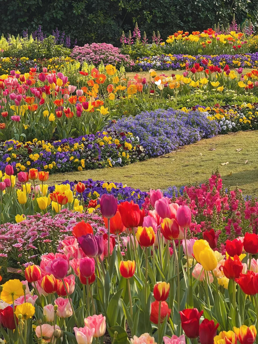 在广州!地铁直达🚇现实版莫奈花园🌷