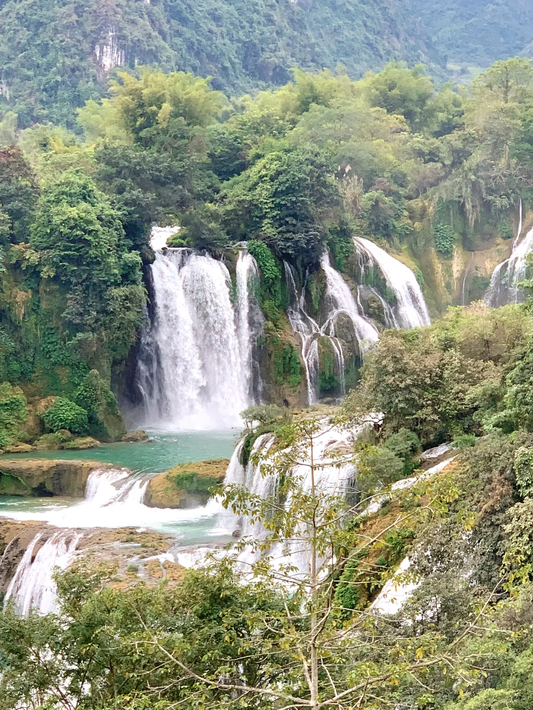 崇左旅游✅2-3月去崇左的姐妹注⚠️意了！码住