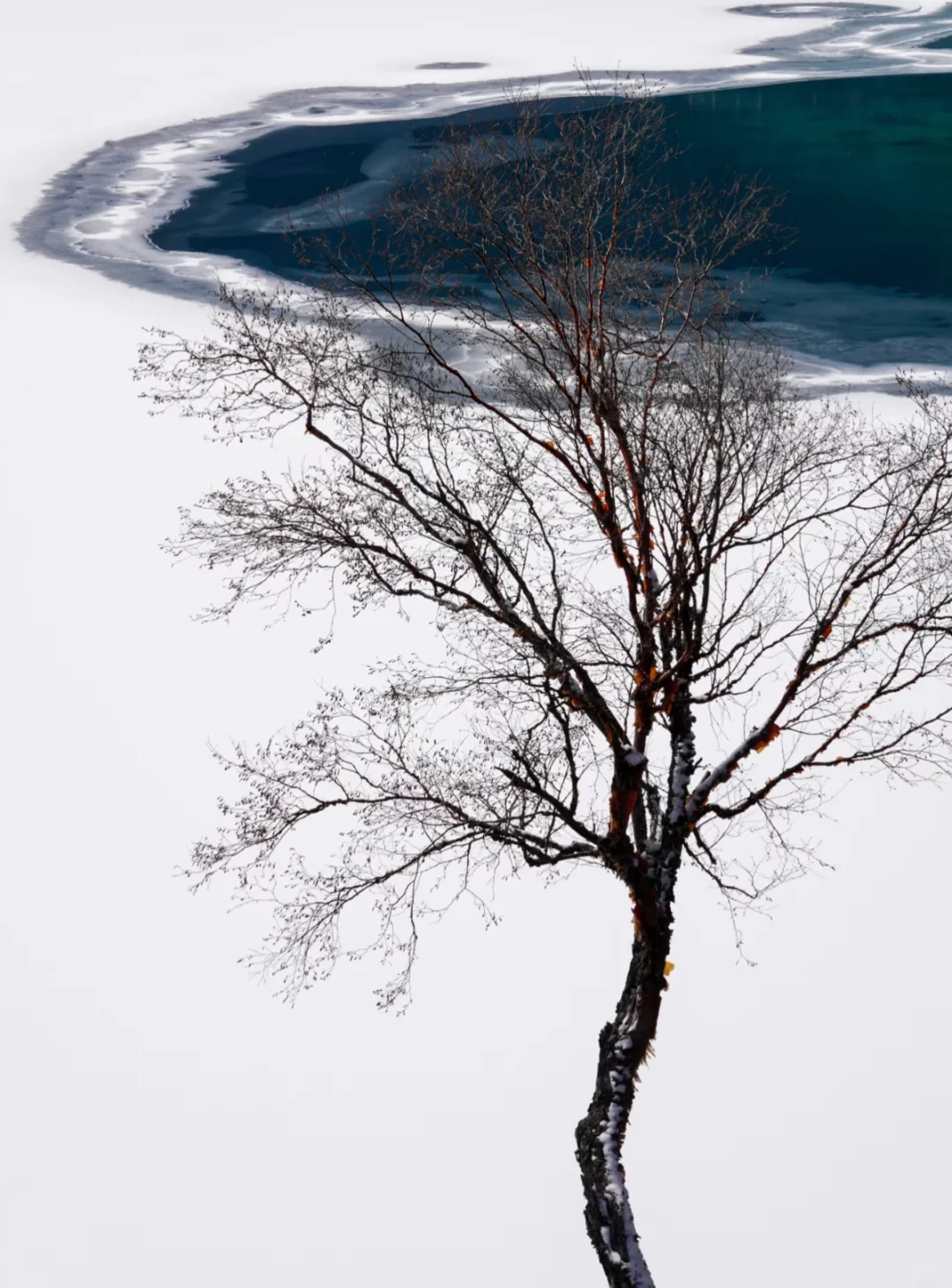 成都2.5h直达❗️领略黄龙九寨仙境神画