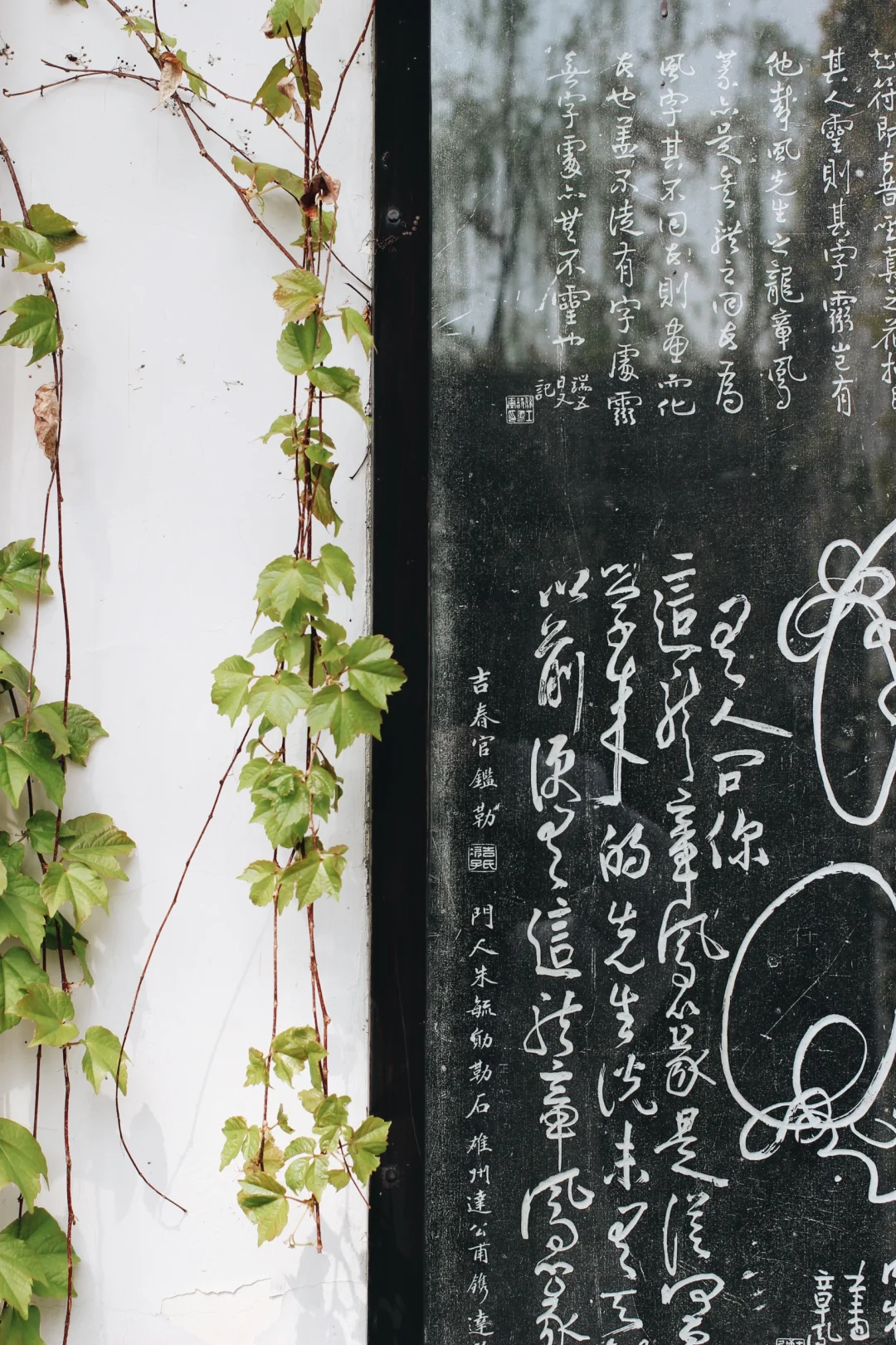 🌸两天三夜·烟花三月下扬州保姆级攻略🌿