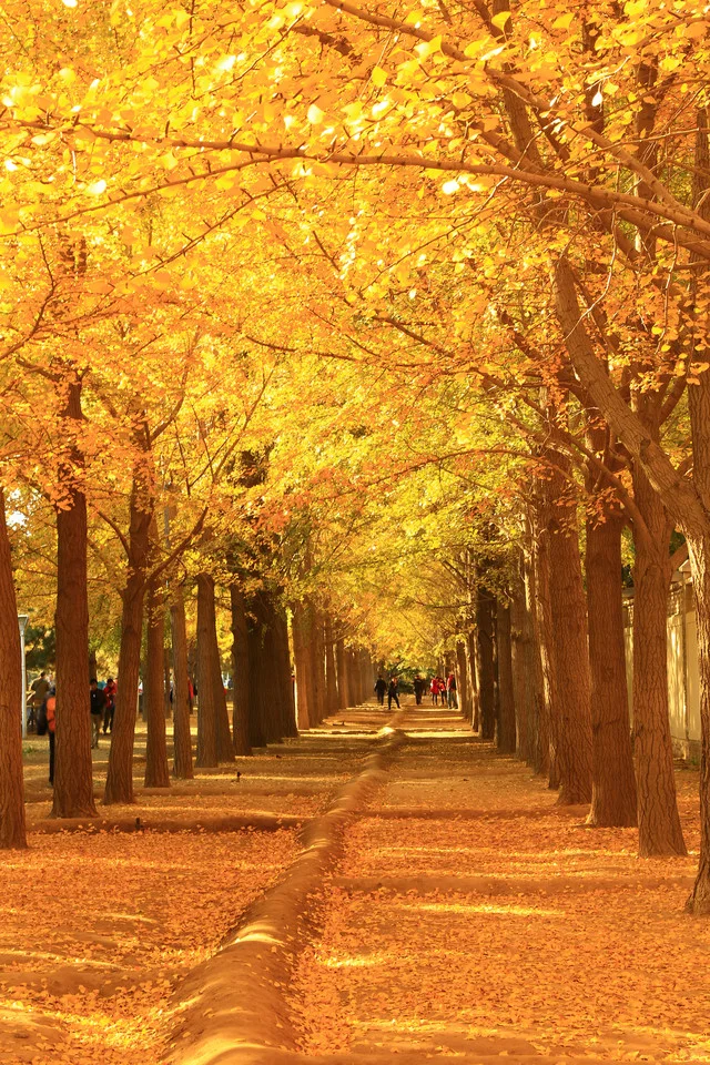 北京隐藏景点全曝光❗️私藏6个神仙机位