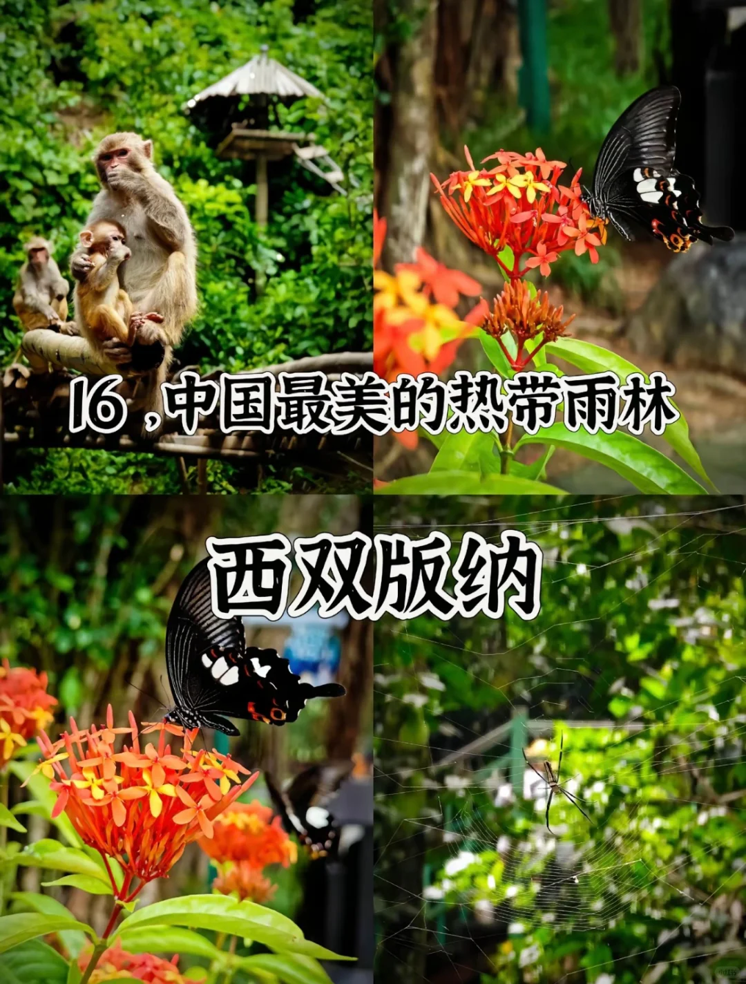 中国最美的20个地方值得此生一去