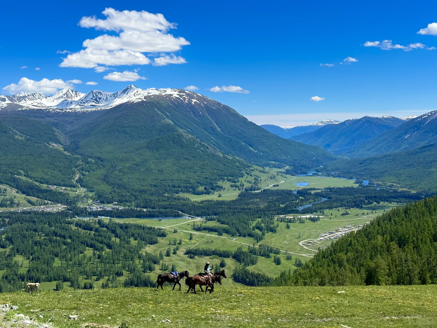 六月初 新疆自驾旅游记录⛰️攻略+花费