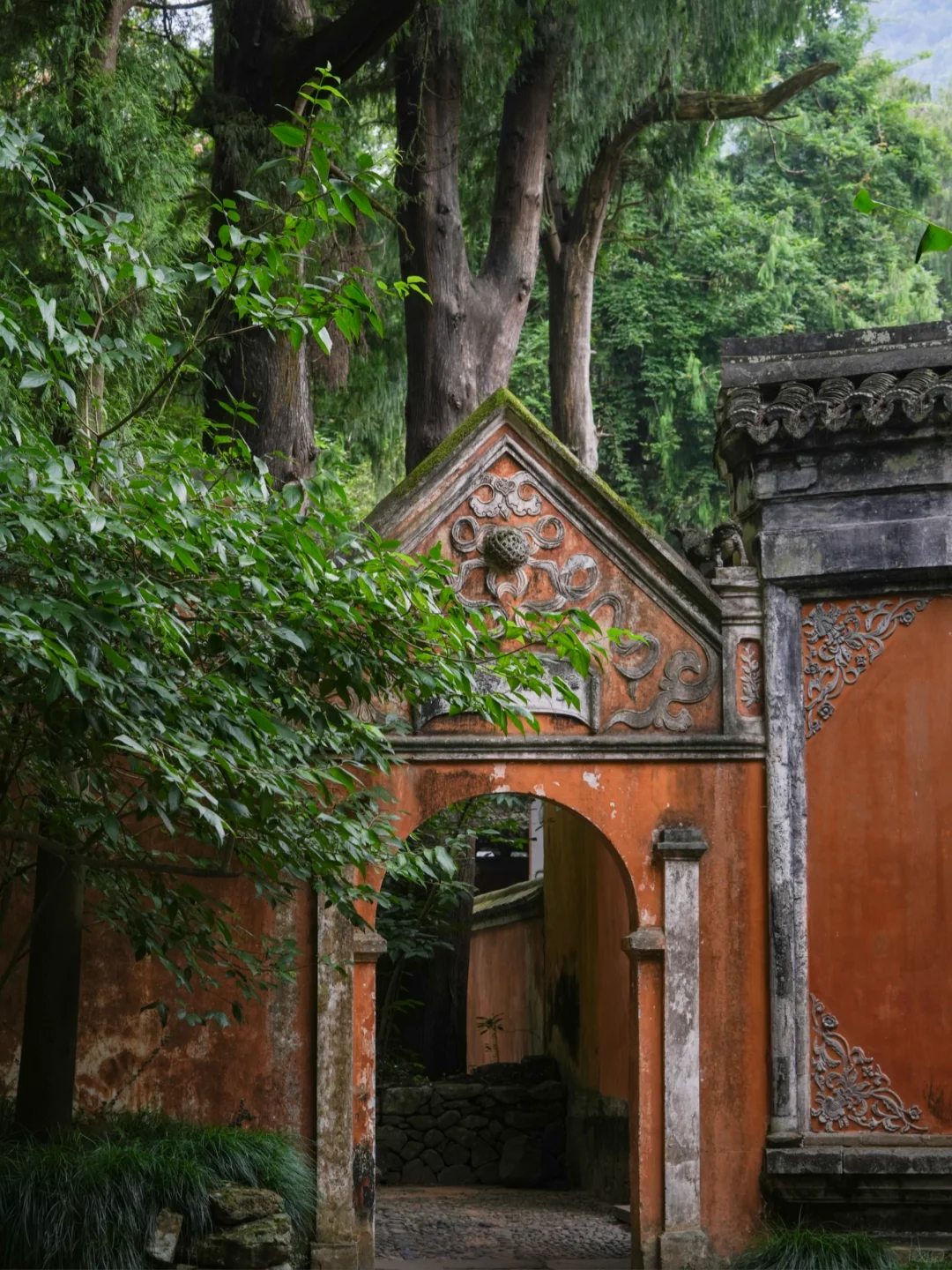 2.18实拍❗️国清寺的隋梅已经开啦