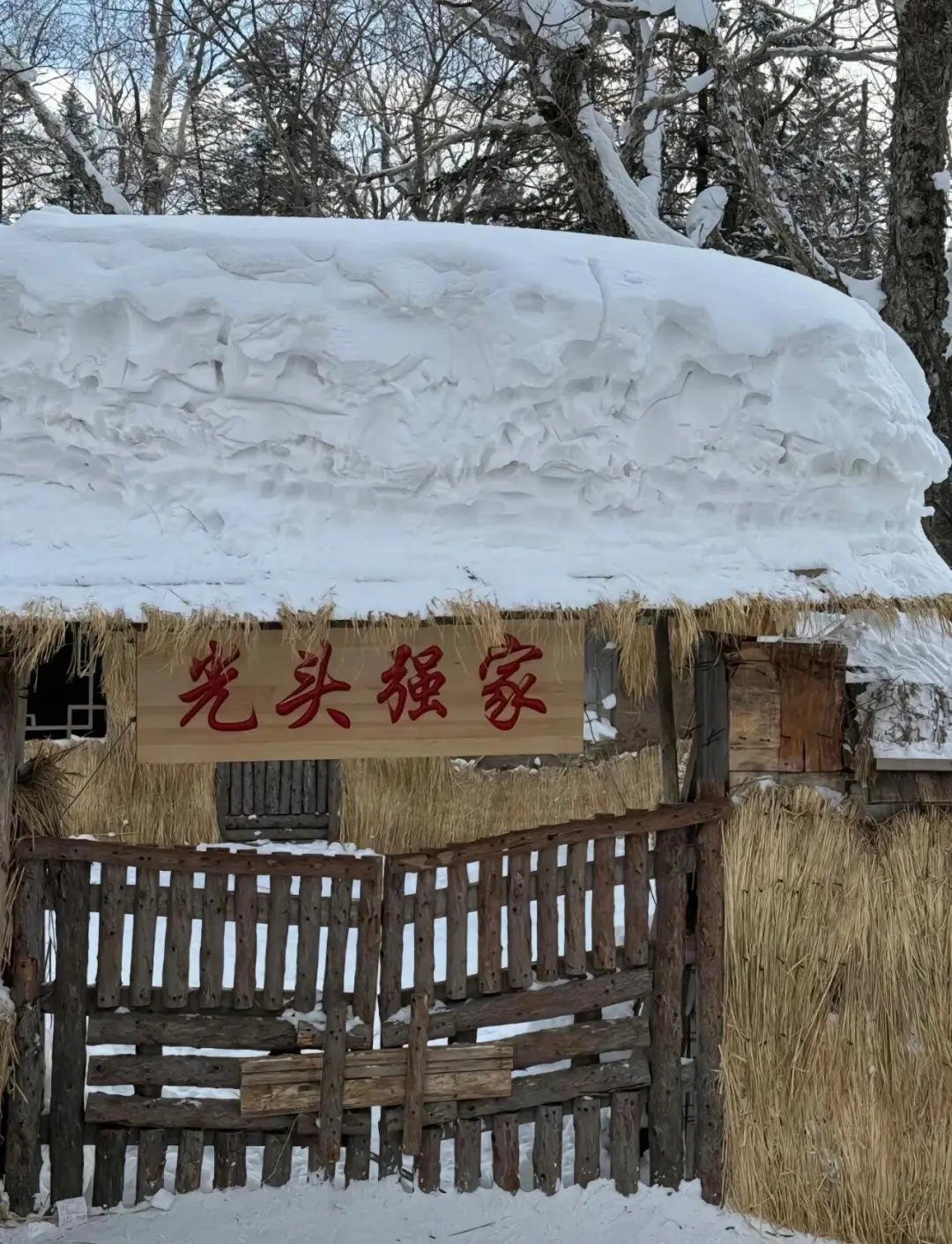 零下30度的哈尔滨，真的不是北欧！