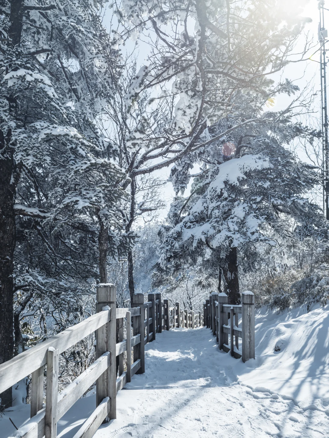 淡季的西岭雪山真的是人间理想！最全攻略