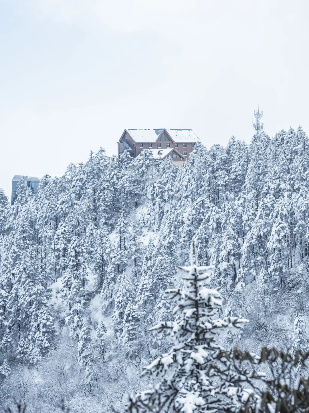 淡季的西岭雪山真的是人间理想！最全攻略