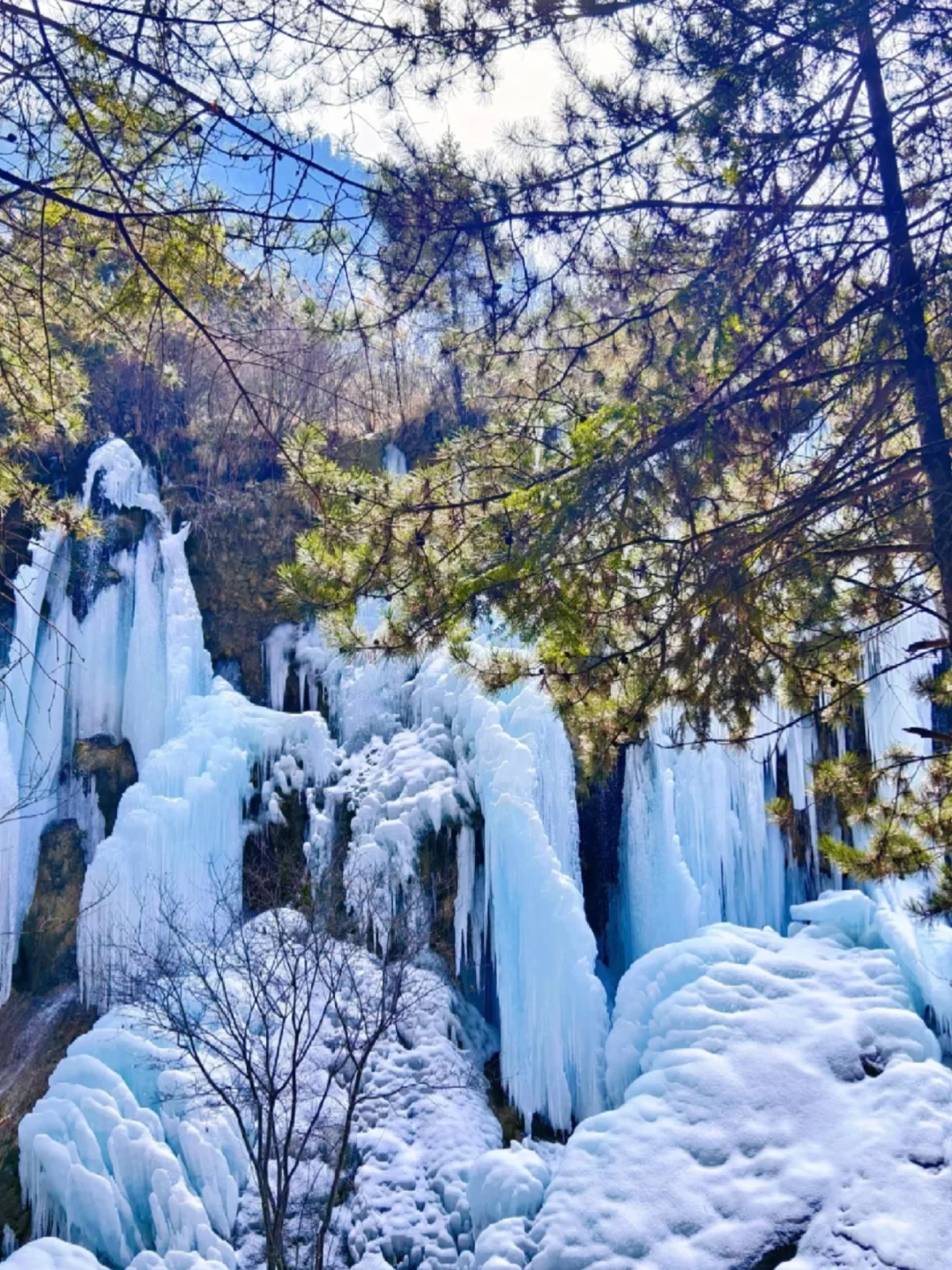 成都2.5h直达❗️领略黄龙九寨仙境神画