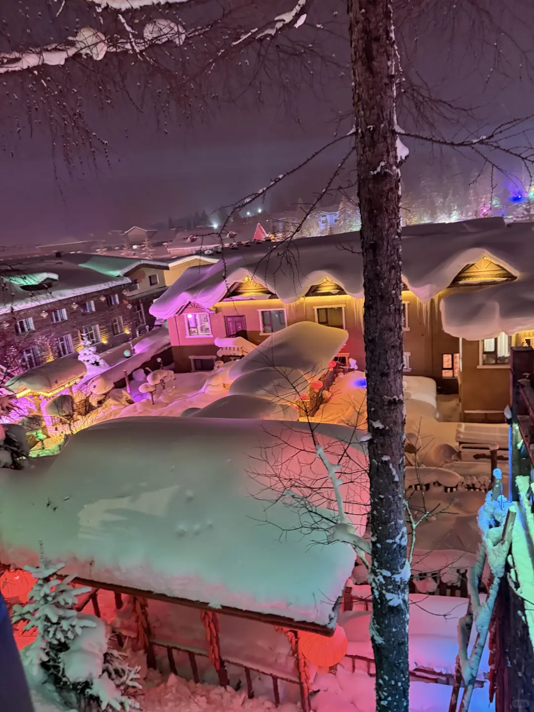 零下30度的哈尔滨，真的不是北欧！