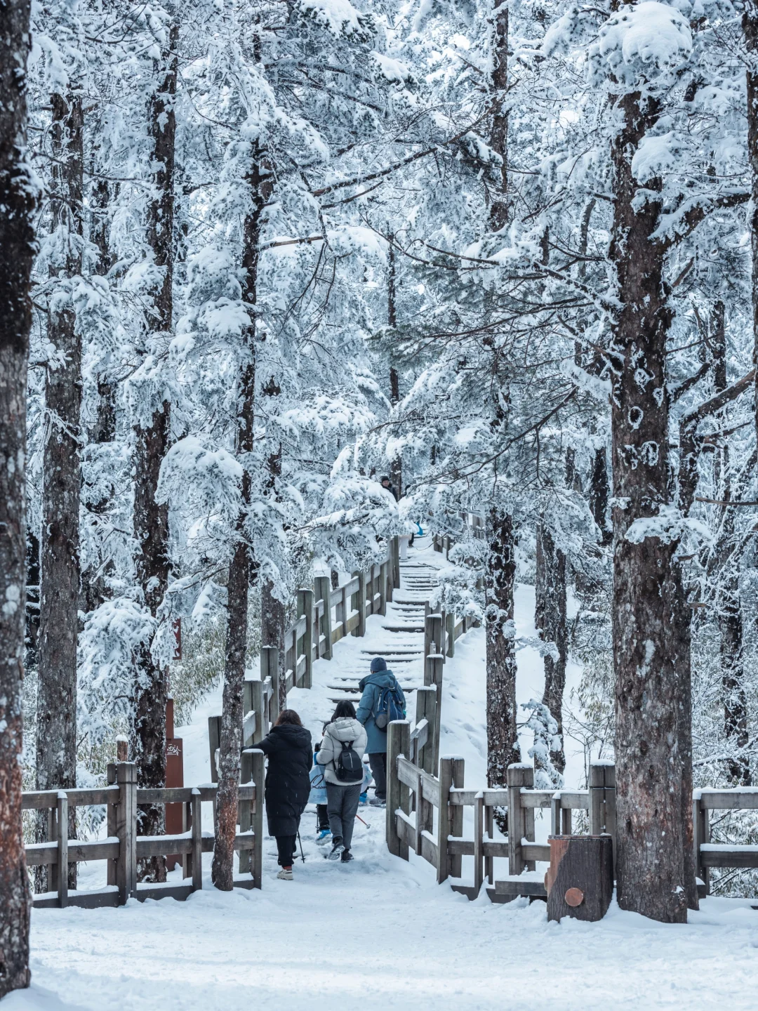 淡季的西岭雪山真的是人间理想！最全攻略