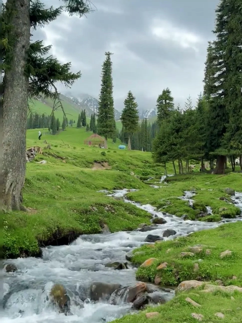 刚和姐妹新疆归来🔥报对团有多重要‼️