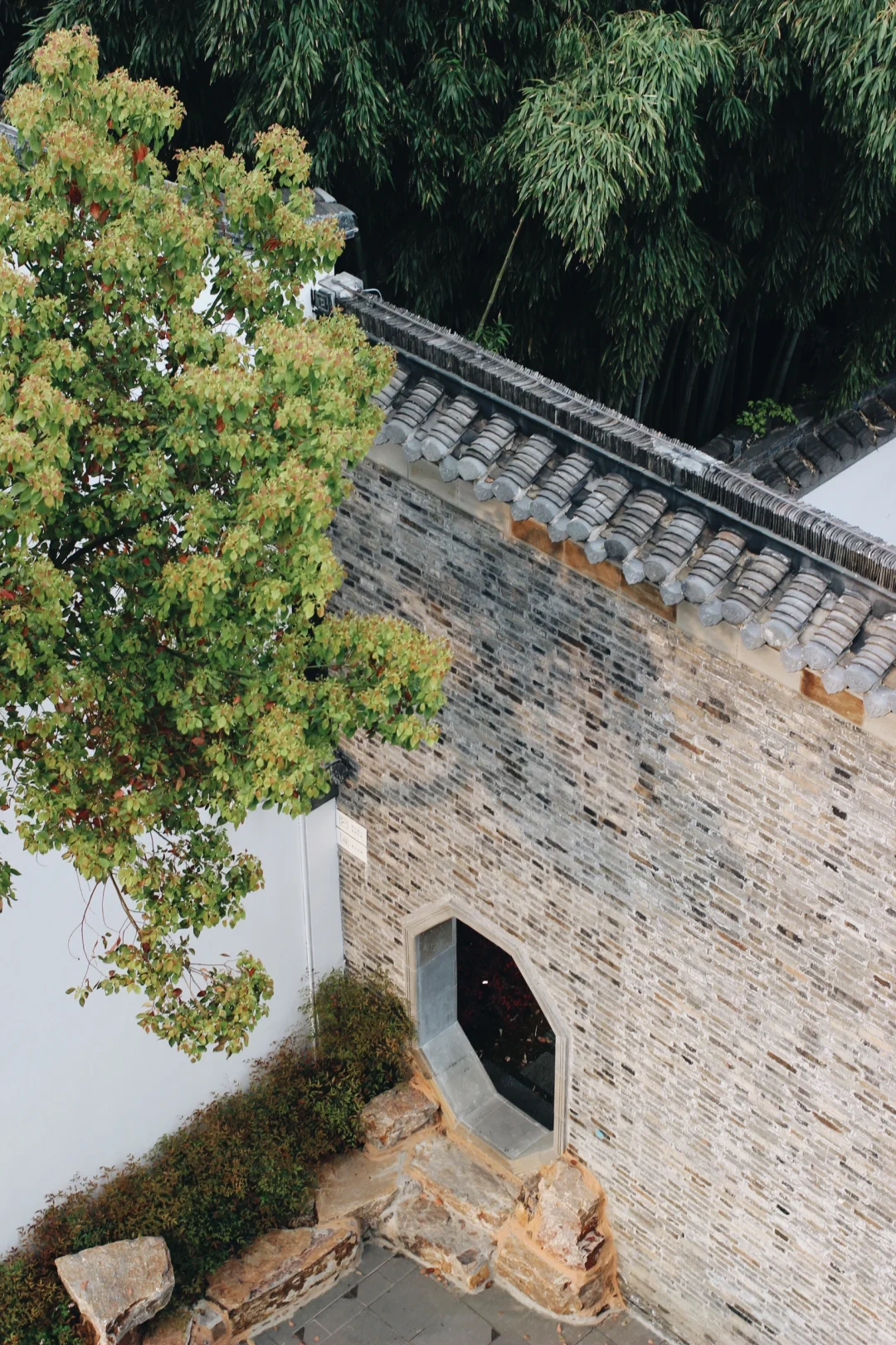 🌸两天三夜·烟花三月下扬州保姆级攻略🌿