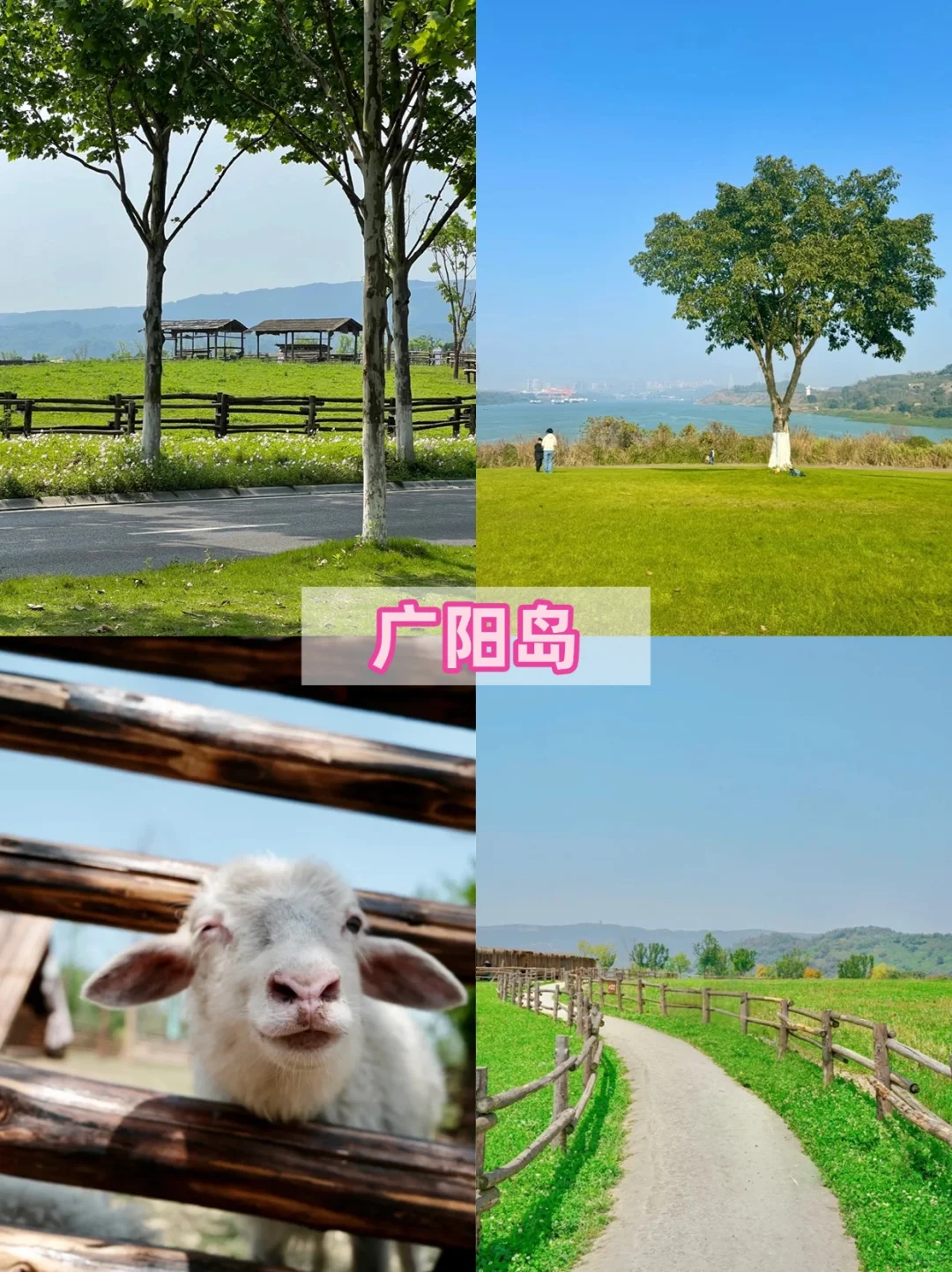 重庆不止洪崖洞：逛完这10个景点再离开重庆