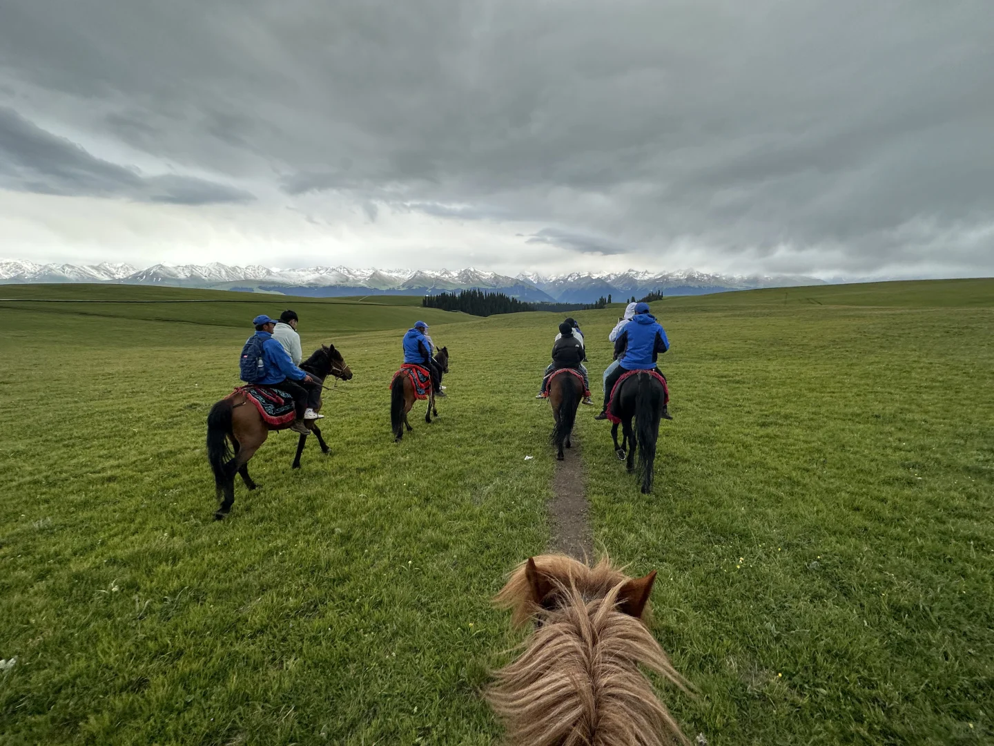 六月初 新疆自驾旅游记录⛰️攻略+花费