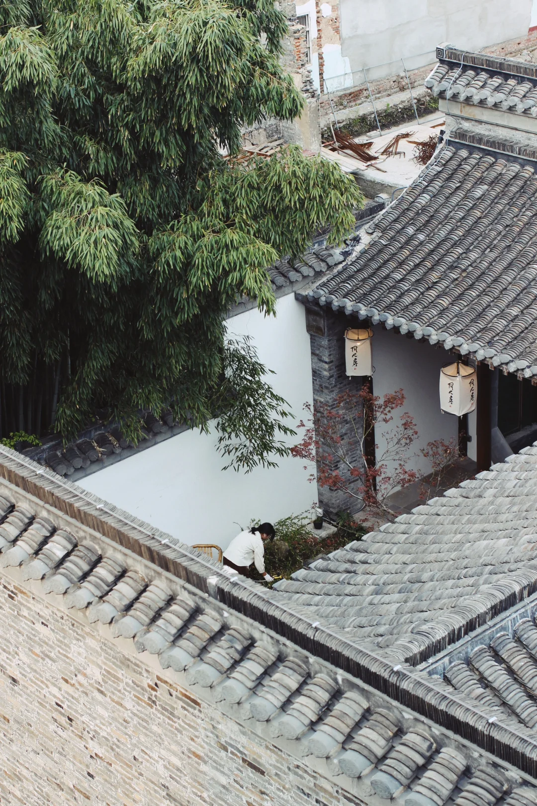 🌸两天三夜·烟花三月下扬州保姆级攻略🌿