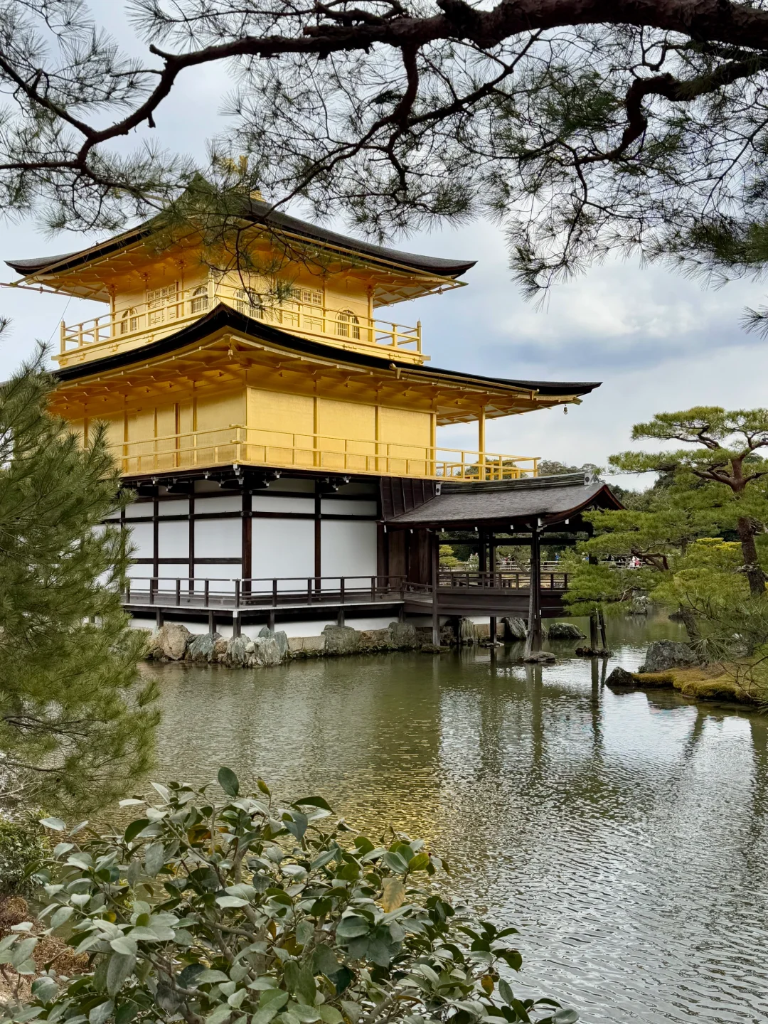 京都·二条城·金阁寺·三十三间堂