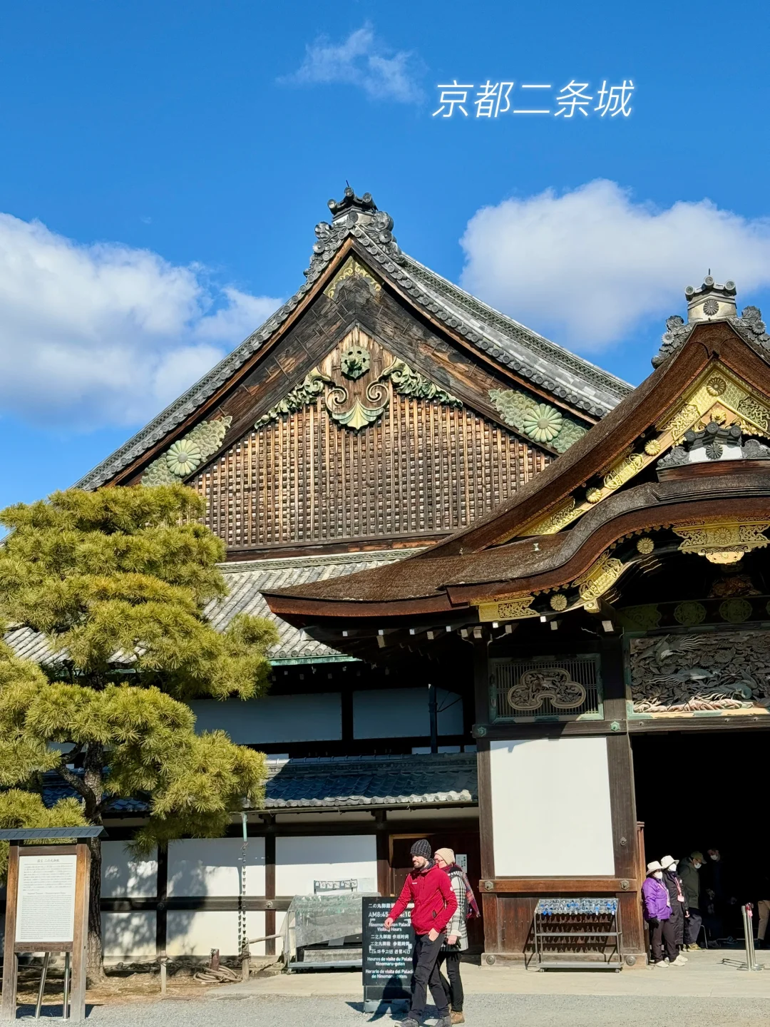 京都·二条城·金阁寺·三十三间堂