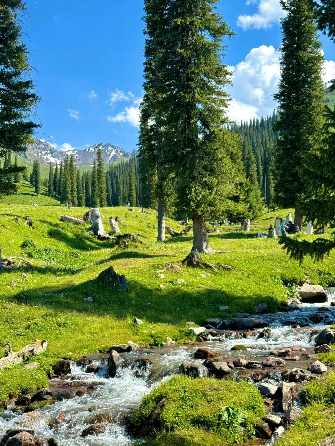 新疆旅游必去九大景点🔥绝美风光🔥