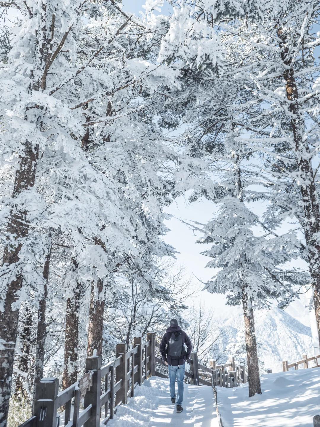 淡季的西岭雪山真的是人间理想！最全攻略