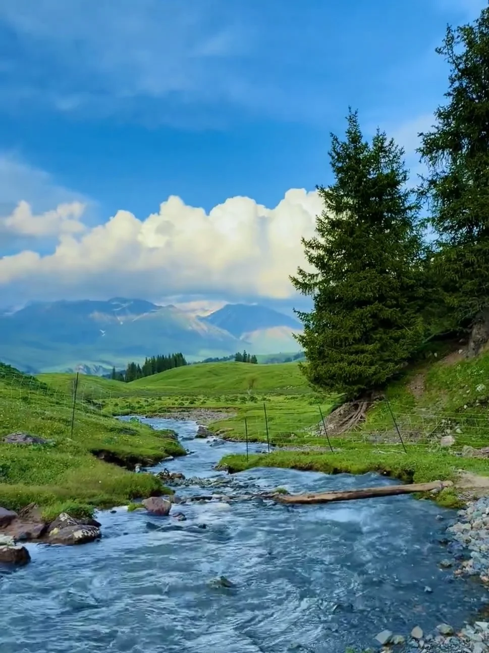 刚和姐妹新疆归来🔥报对团有多重要‼️