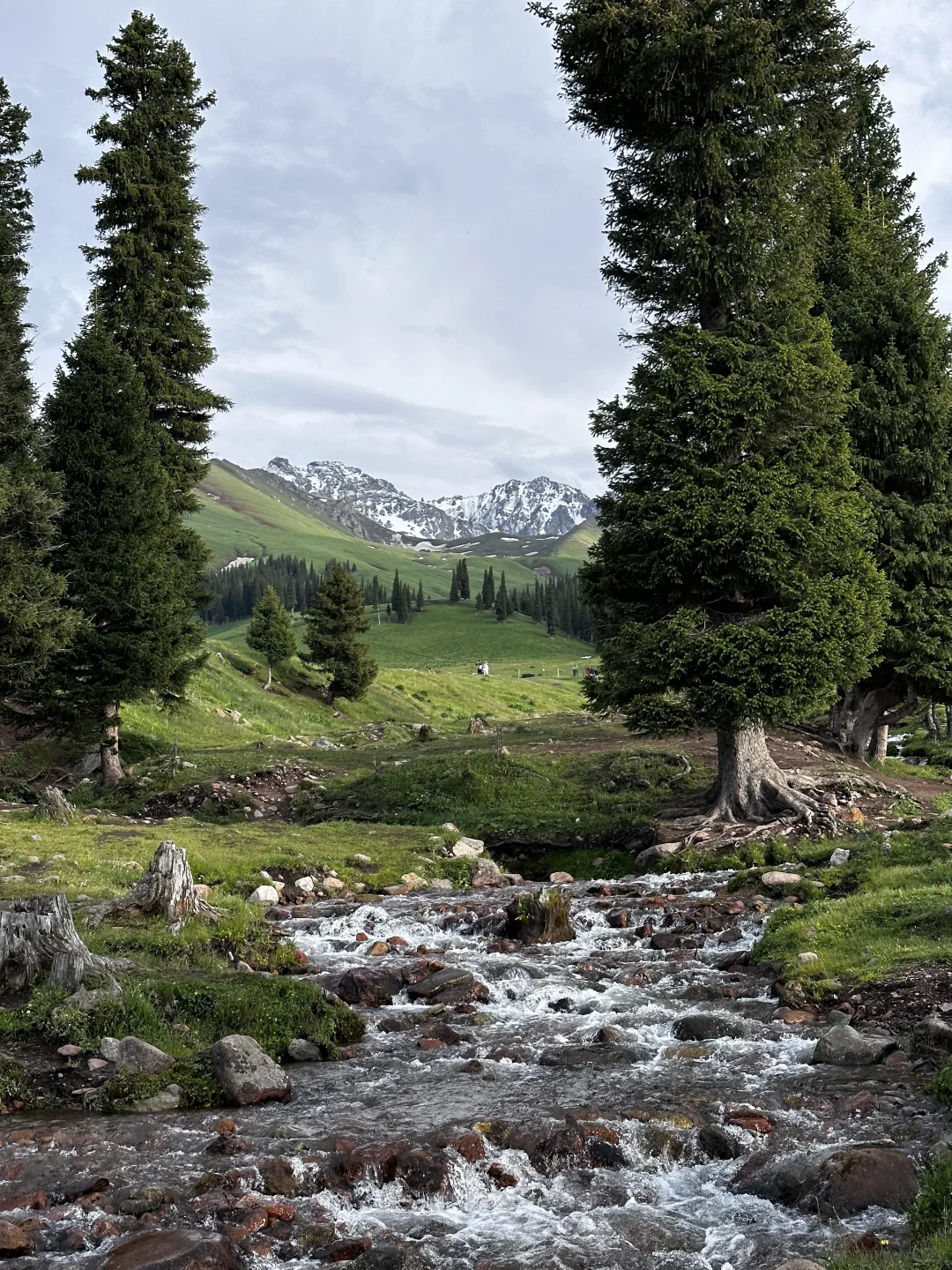 六月初 新疆自驾旅游记录⛰️攻略+花费