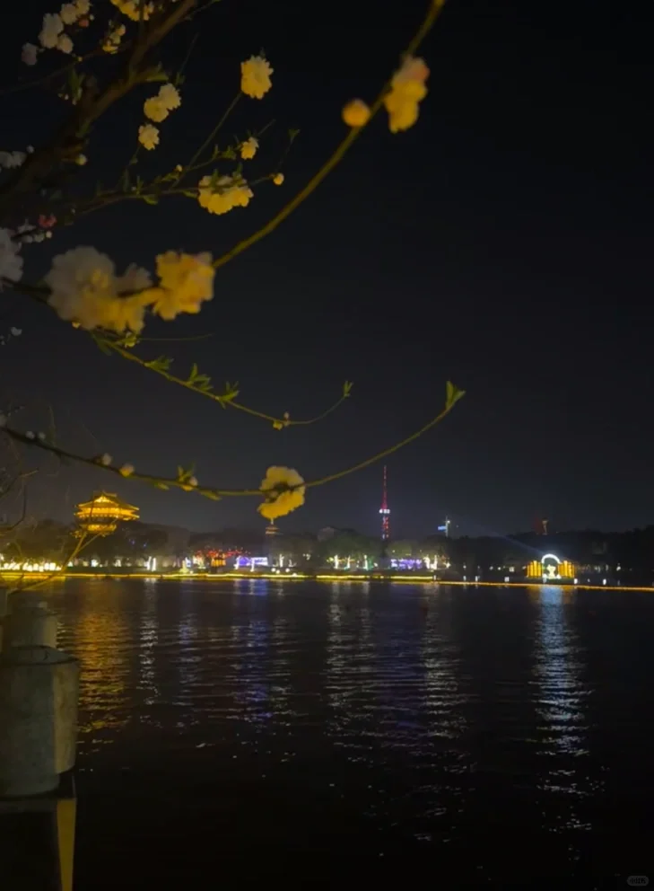 2025春季赏花系列之一，千垛油菜花篇