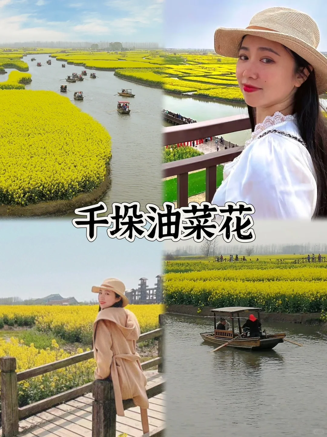 2025春季赏花系列之一，千垛油菜花篇