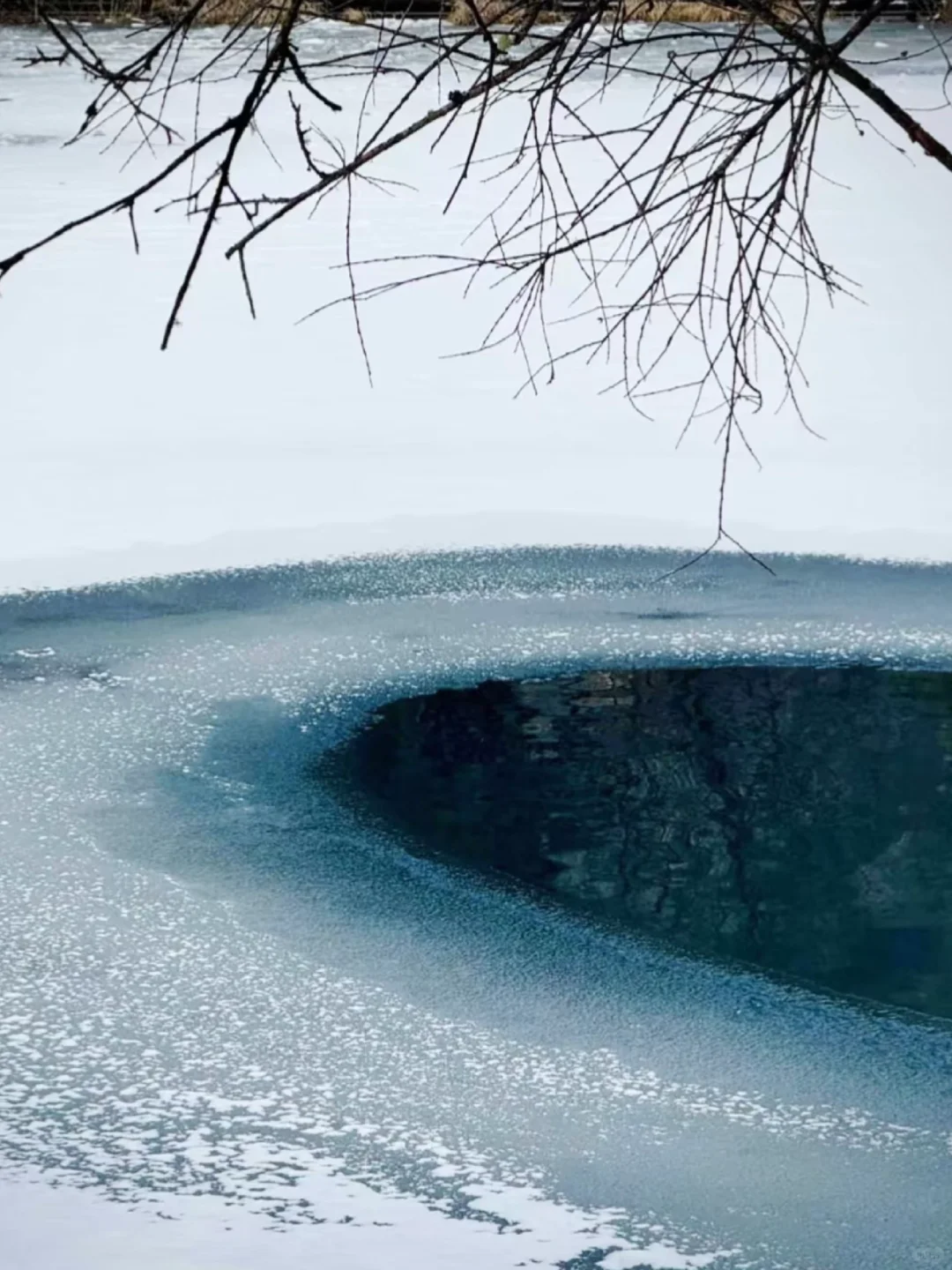 成都2.5h直达❗️领略黄龙九寨仙境神画