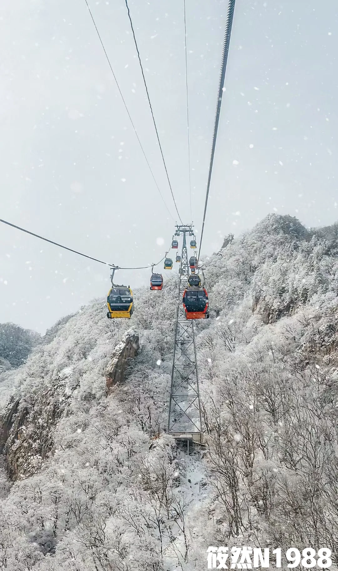 老君山旅游避雷全攻略｜1日游2日游攻略推荐