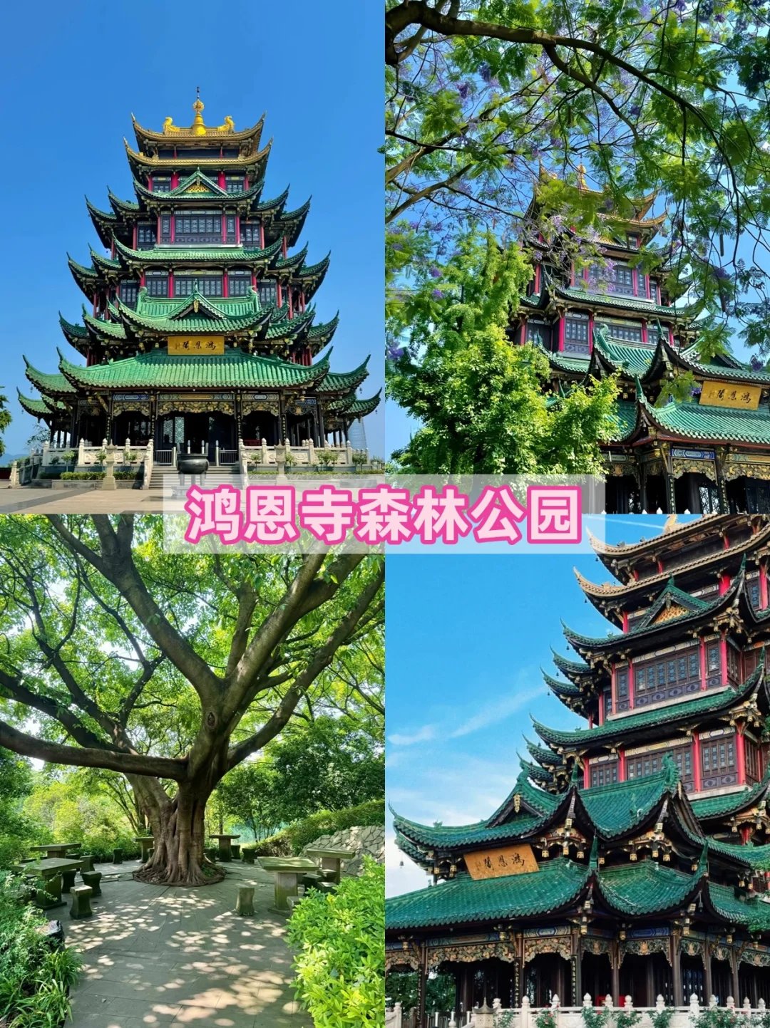 重庆不止洪崖洞：逛完这10个景点再离开重庆