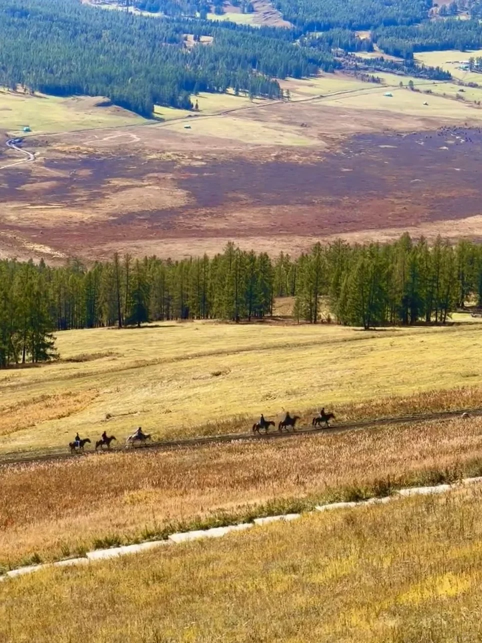 疆跟团已回！这3种团千万别报