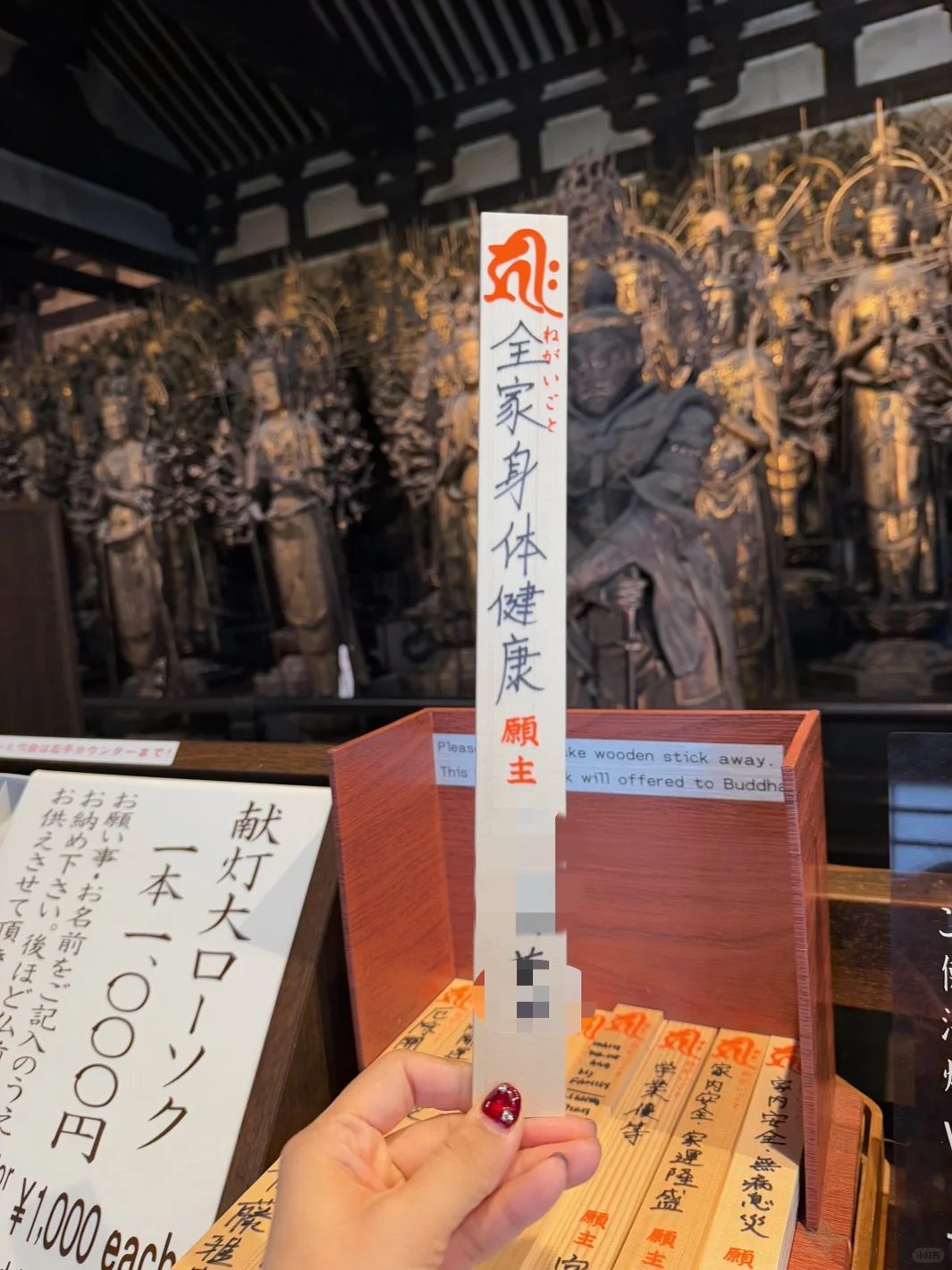 京都·二条城·金阁寺·三十三间堂