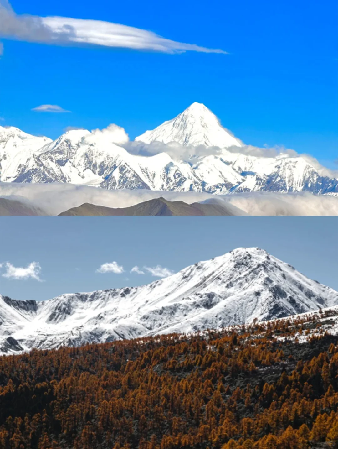 2025一定要来川西！在德钦看一次日照金山