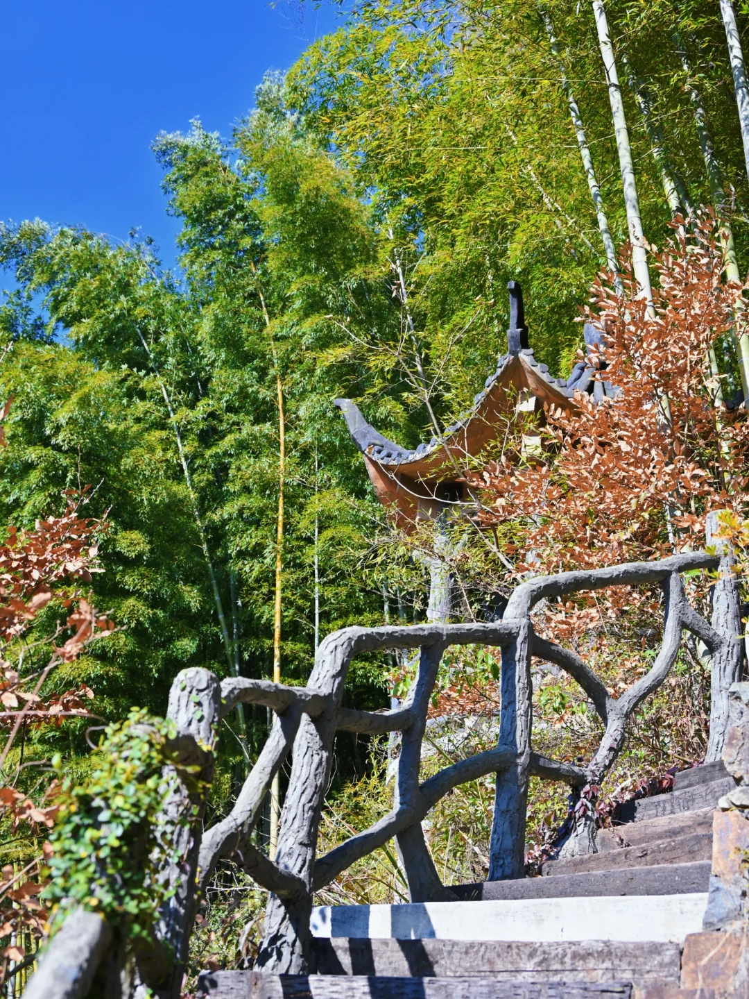 瑞士乡村？这是宁波1h直达的免费小众景点呀