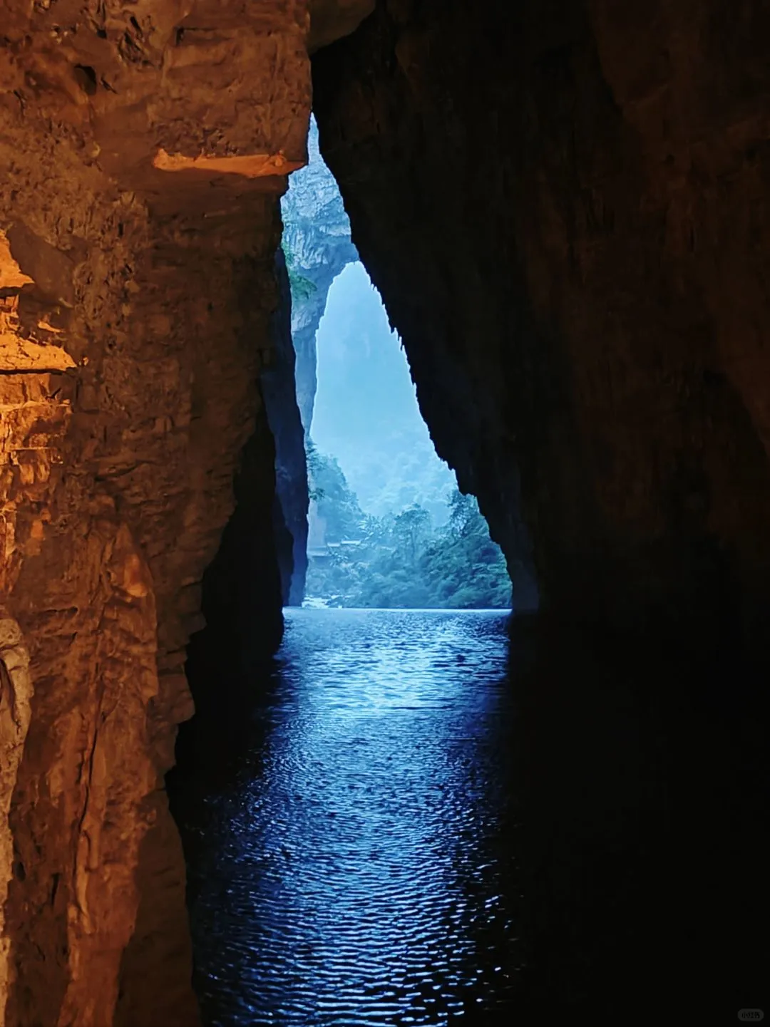 被《国家地理》评为中国最美杜鹃花海的现状