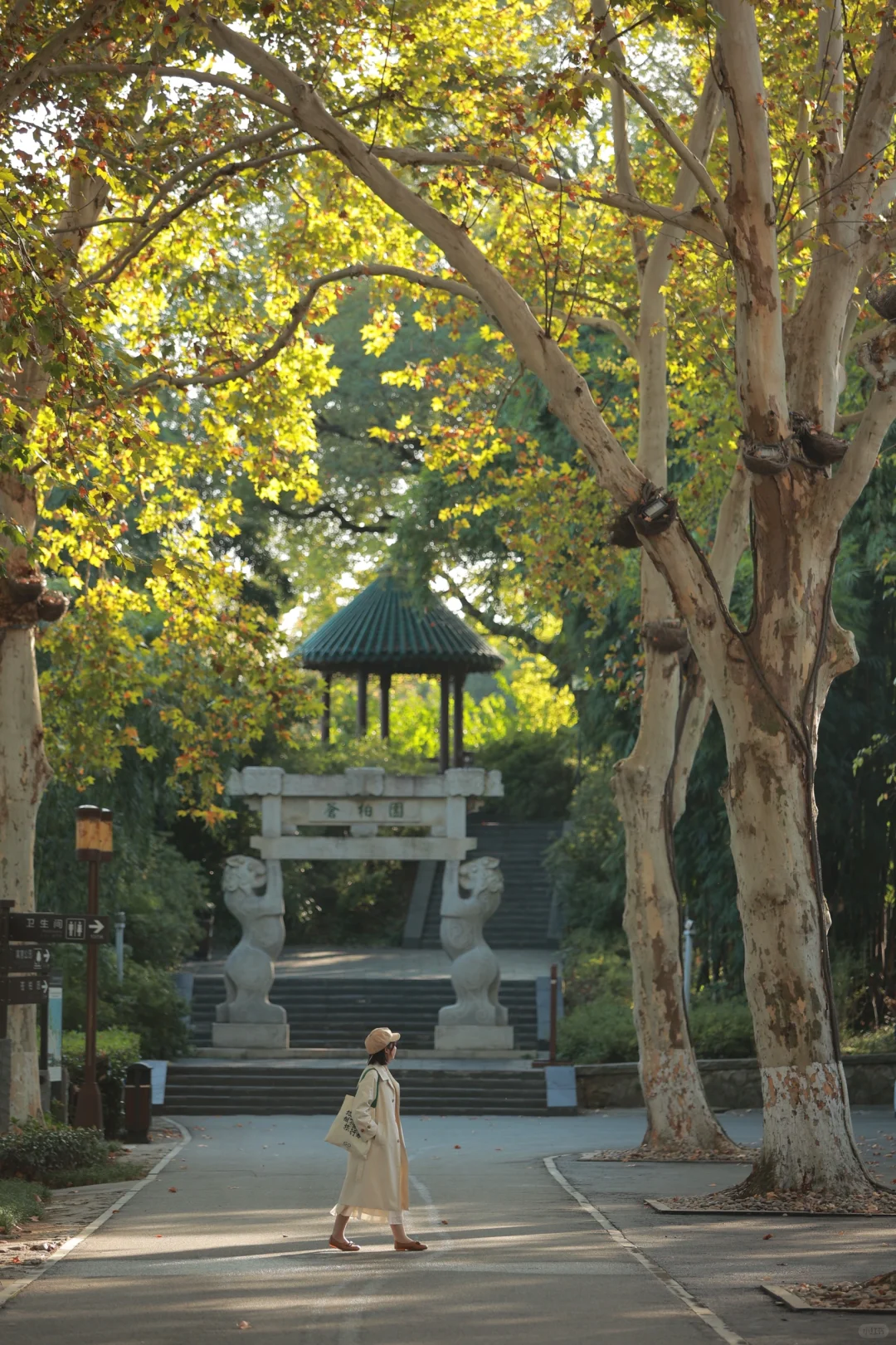 终于有人把东湖怎么玩说清楚了❗️干货不踩雷